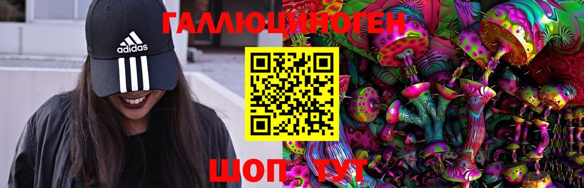 Галлюциногенные грибы Cubensis Казань